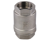 Stainless Steel 2-PC Vertical Check Valve, Pn40 (DYTIV-001)