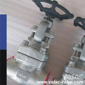 F304, F304L, F316, F316L Forged Stainless Steel Gate Valve