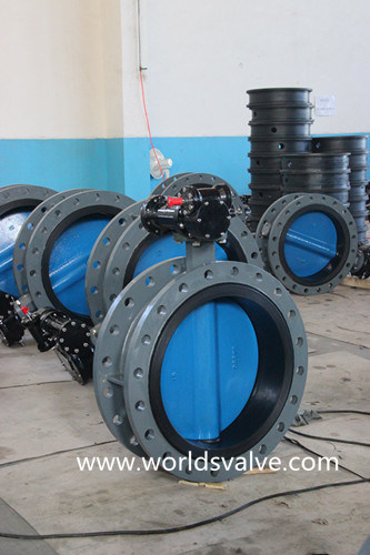 Double Flanged Valve (WDS)