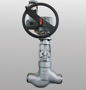 Pn10/16 Worm Gear Operated Casting Steel Globe Valve