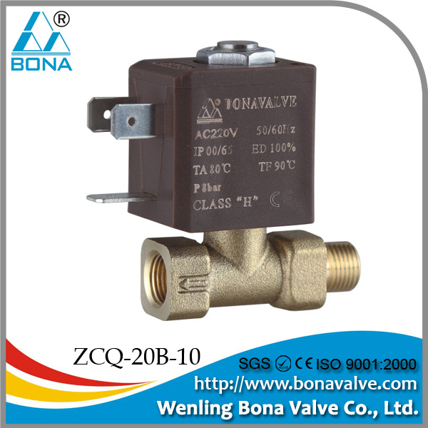 Solenoid Valve for Gas Heater (ZCQ-20B-10)