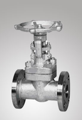 Cast Steel and Forged Steel Gate Valve
