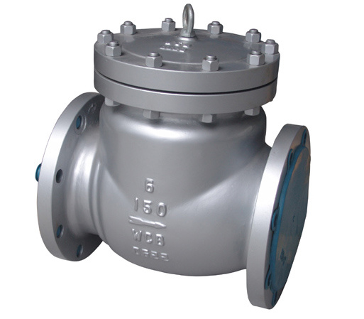 304 Stainless Steel Check Valve (POY-009)