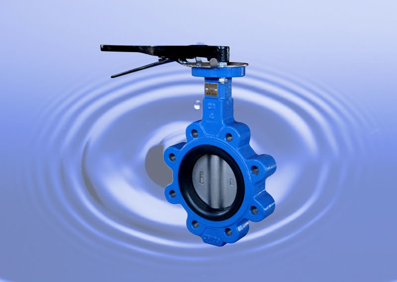 Butterfly Valve with No Pins (01)