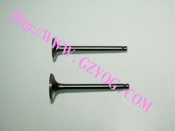 Yog Motorcycle Engine Parts Valves Wh-100