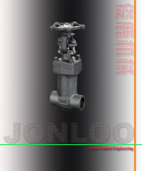 Forged Bellow Seal Globe Valve