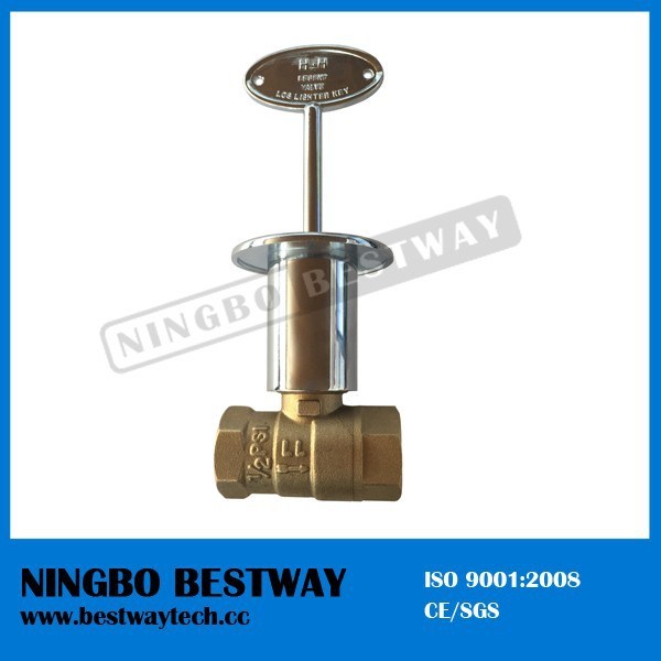 Gas Fryer Valve with Nickel Plated Key Manufacturer (BW-B79)