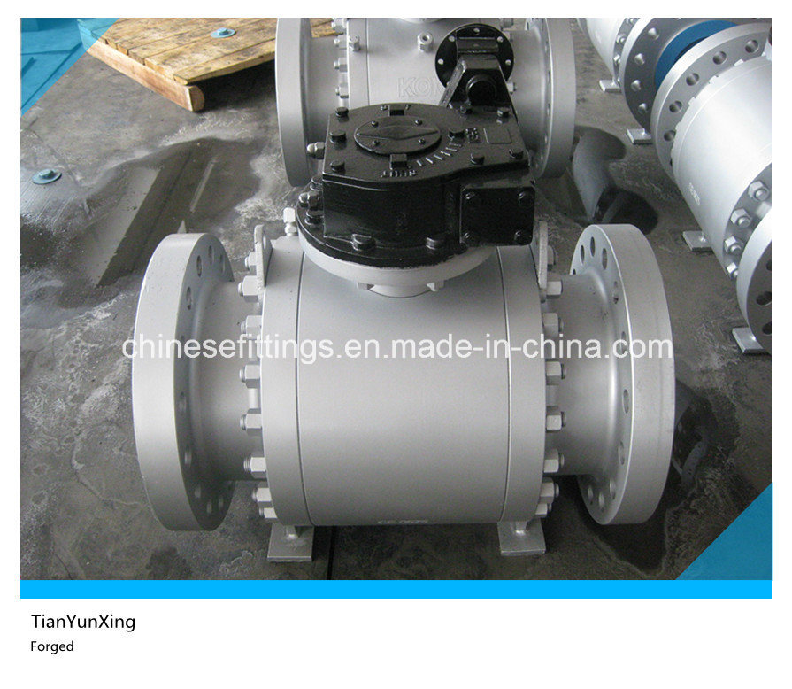 Worm Gear Trunnion Forged Carbon Steel Flanged Ball Valves