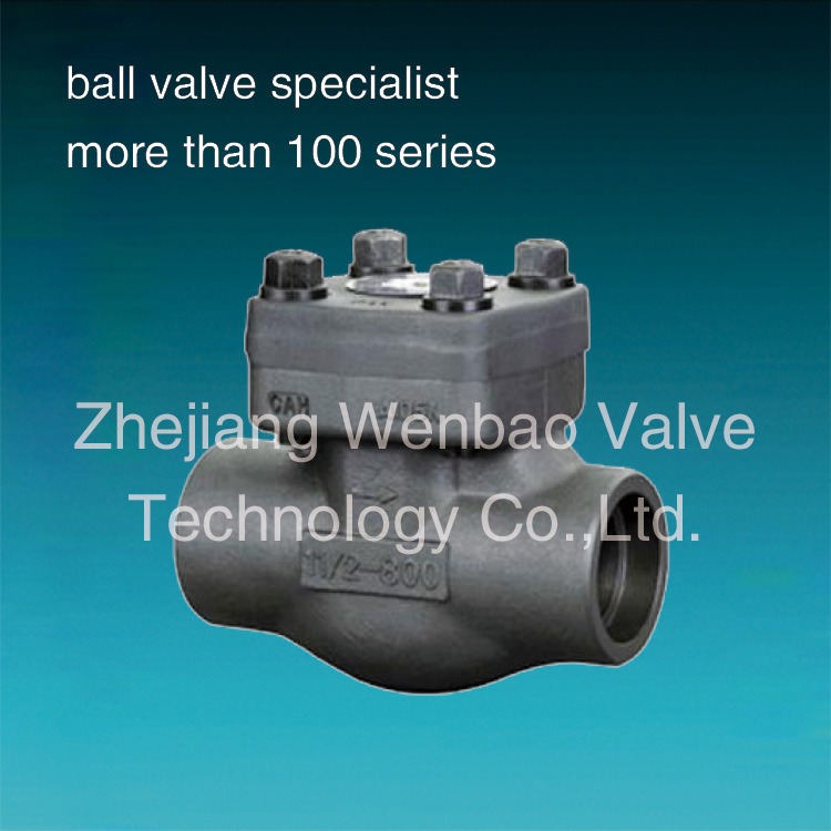 Forged Steel Check Valve 800lb