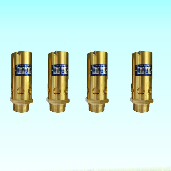 Safety Valve for Air Compressor Auto Parts
