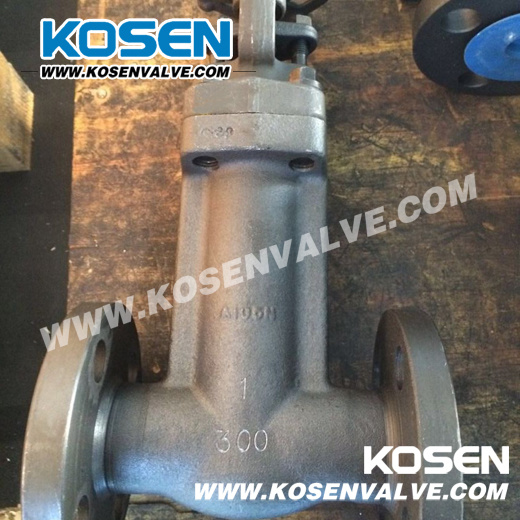 Forged Bellow Seal Gate Valves (WZ41)