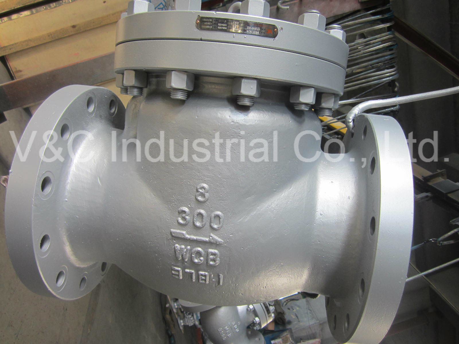 API Carbon Steel Swing Check Valve with Flange End