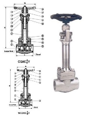 Forged Steel Cryogenic Gate Valve