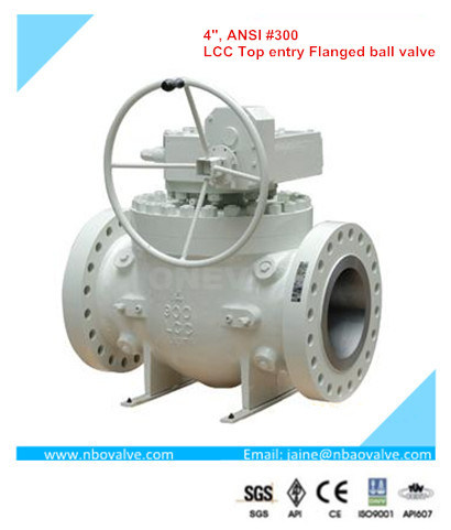 Cast Steel Flanged Top Entry Ball Valve (DQ4)