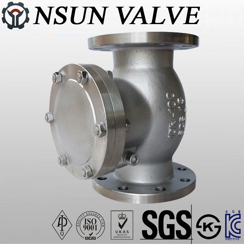 Stainless Steel Flanged Swing Check Valve