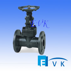 API602 Forged Steel Flange Gate Valve with Class1500