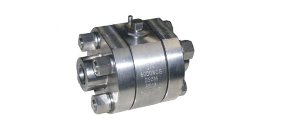 Socket Welding Ends and Threaded Ends Forged Ball Valve