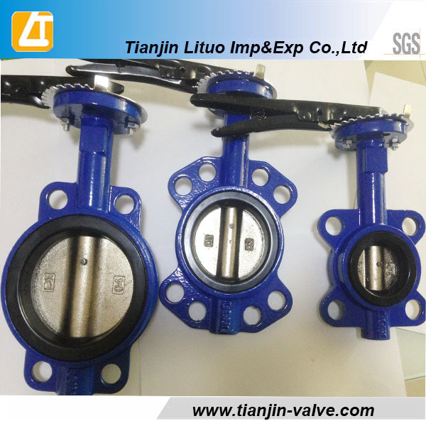 Wafer and Flange and Lugged EPDM Butterfly Valve High Quality Dn Factory