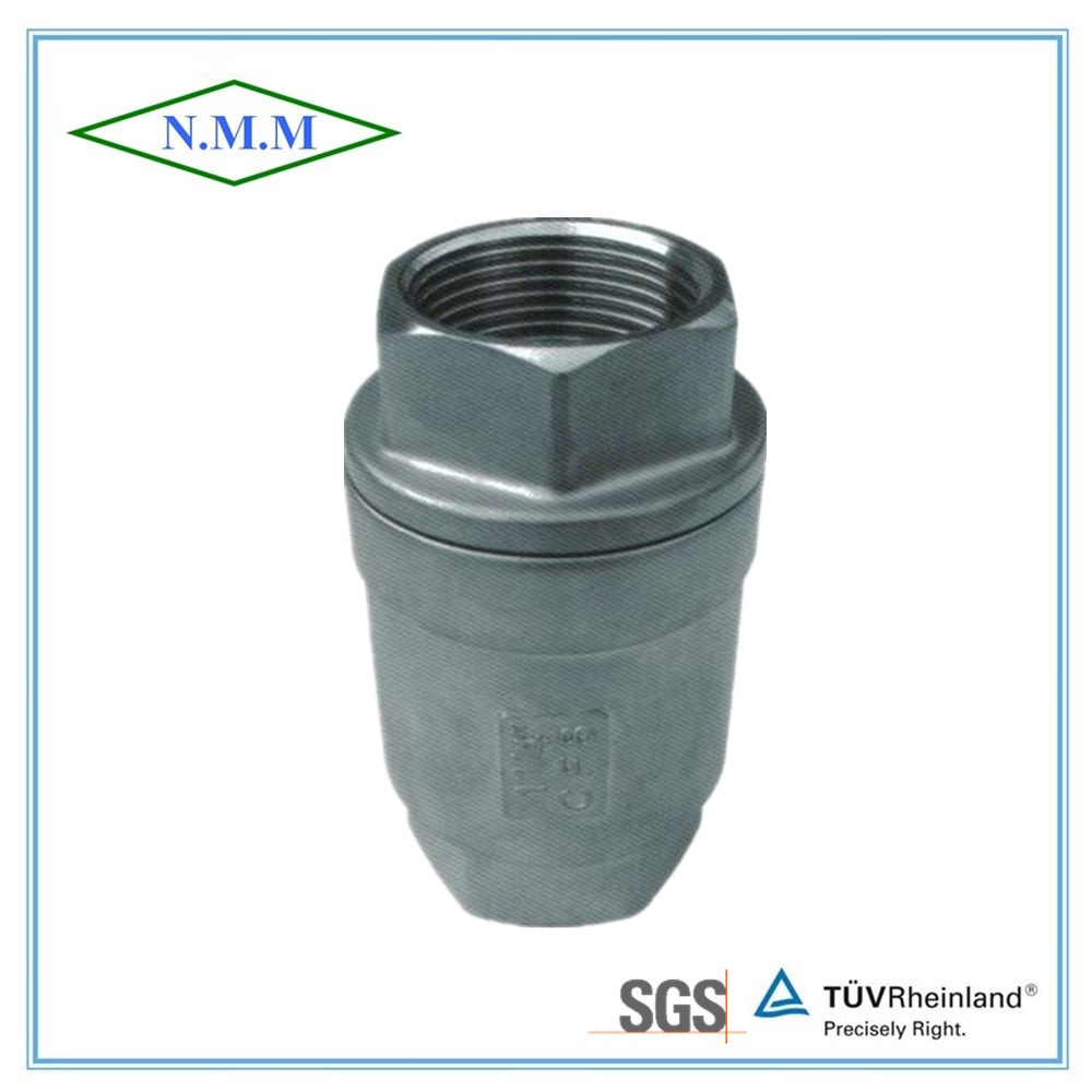 Stainless Steel Threaded Ends Spring Vertical Type Check Valve
