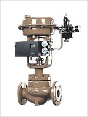 Dts Single-Seated Control Valve