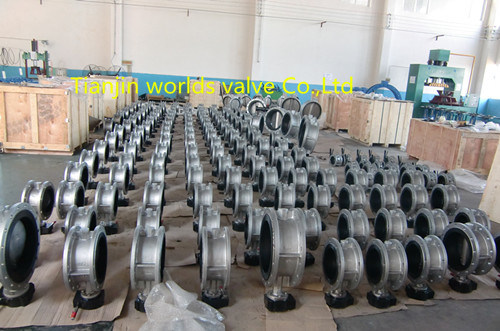 Stainless Steel Double Flanged Butterfly Valve (D41X-10/16)