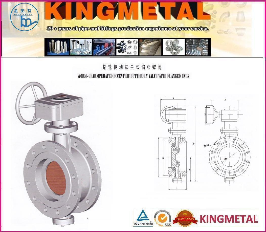 Worm-Gear Operated Eccentric Butterfly Valve