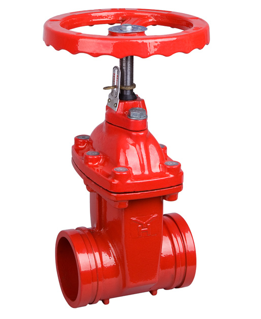 Groove Resilient Seal Gate Valve (reveal)