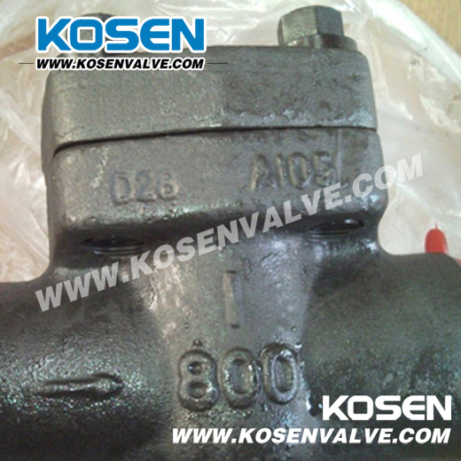 Forged Steel Piston Check Valves (H11)