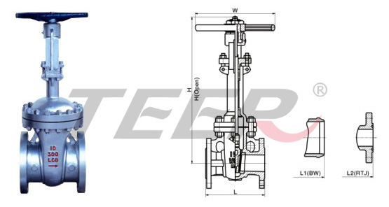 Stainess Steel Gate Valve (Z41H-150LB)