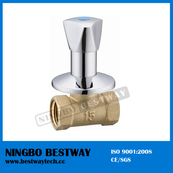 High Quality Brass Built in Valve (BW-S13)