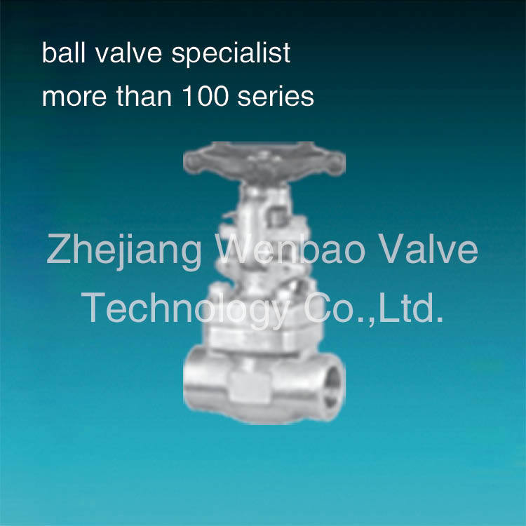 F304 Stainless Steel Forged Gate Valve with Female End