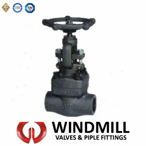 API Forged Steel Bolted Bonnet Gate Valve A105