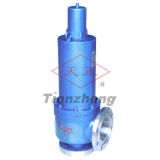 The High Pressure Stainless Steel Safe Valve
