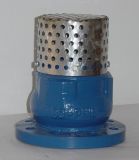 Cast Iron/Ductile Iron Foot Valve with Ss Screen
