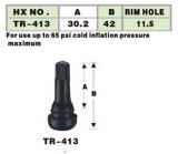 Tubeless Snap-in Valve (TR-413)
