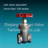 Threaded Stainess Steel Gate Valve