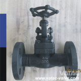 Cl800 ASTM A105 Forged Gate Valve