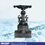 A105 Forged Steel Gate Valve
