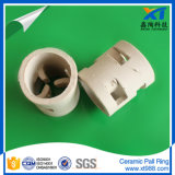 Stock! ! ! 25mm 38mm 50mm Ceramic Pall Ring Packing