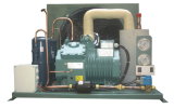 Bitzer Air Cooled Condensing Unit for Cold Store