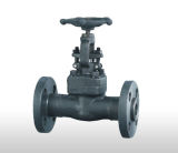 Forged Steel Flanged End Globe Valve