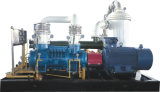 Profession Manufacture of Flare Gas Screw Compressor Unit: Lgm53/0.005-0.2