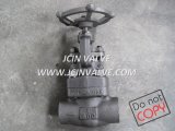 Forged Steel Globe Valve with NPT/Sw Ends