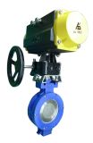 Pneumatic Butterfly Valve (Metal seated) All Torque Controls
