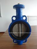 Stainless Steel Butterfly Valve