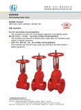 FM Approved Flange Connection Manual Soft Sealing Osi Gate Valve