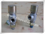 Bsp Threaded Hand Lever Manual Pressure Safety Valve (A21H-3/4