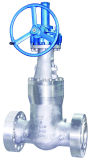 Stainless Steel Bevel Gear Operated Gate Valve