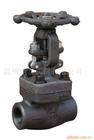 Forged Steel Valve