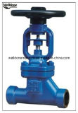 DIN Forged Bellows Seal Globe Valve